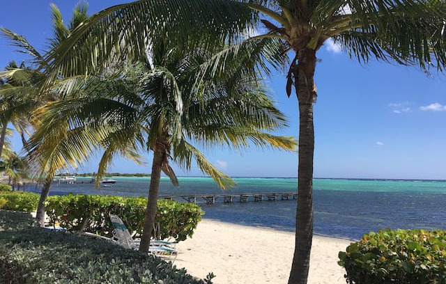 Blossom Village Apartment | Conch Club 16, Little Cayman, Cayman Islands