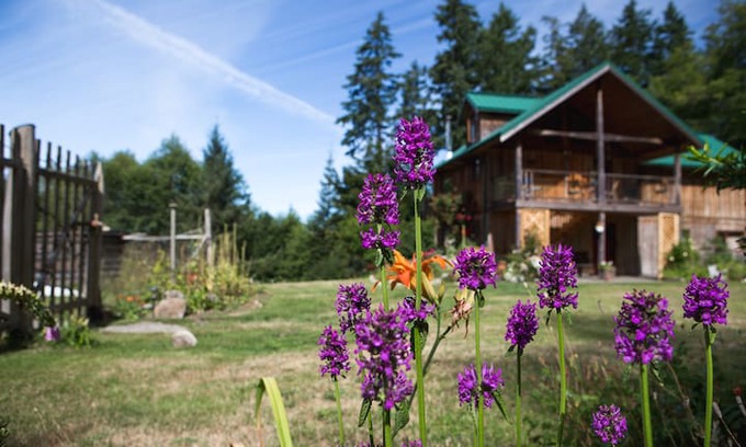 Cortes Island Other | Brilliant by the Bay - Sweet Suite