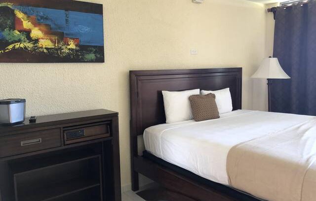 Terranova Hotel | Single Room Disability Access Hotel El Guajataca