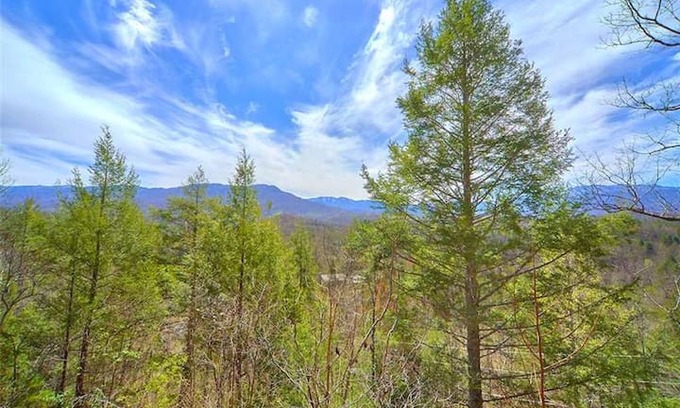 Pittman Center Cabin | "Endless View" 1 Bedroom 2 Bath Amazing Views Wifi