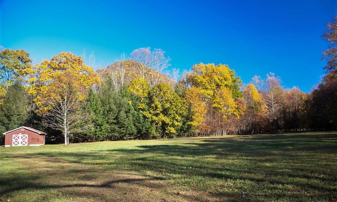 Elkins Cabin | Blissful Seclusion, 27 Mountain Riverfront Acres