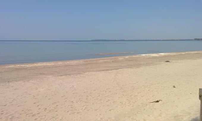 Wainfleet Cabin | Bracewood Cottages @ Long Beach - Lower Serenity