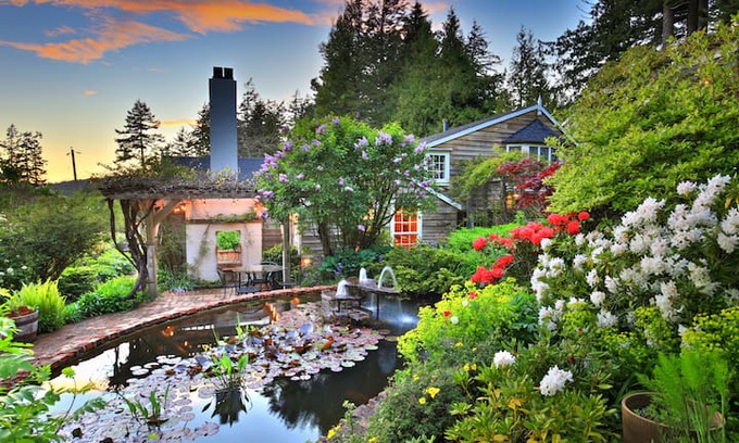 Sooke House | Sooke Cedar House - Aletheia Suite