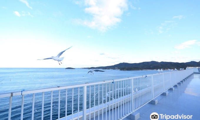 Shizugawa Hotel | Minamisanriku Hotel Kanyo