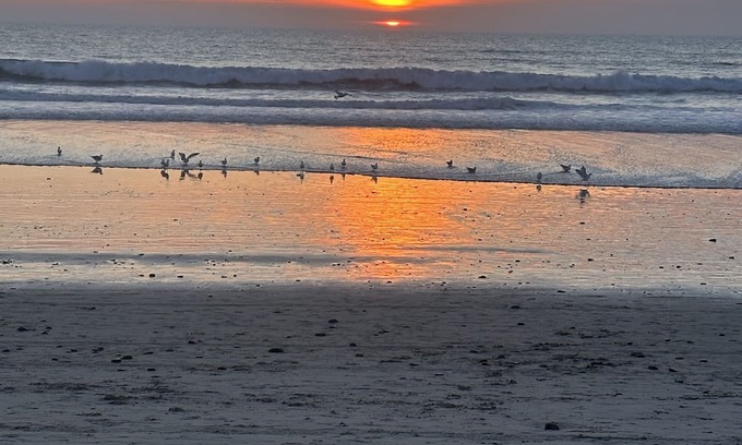 Carlsbad Village Cottage | Carlsbad Beach Cottage