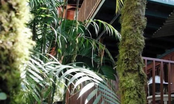 Cerro Punta Apartment | Eco-Cabin apartment inside Cloudforest
