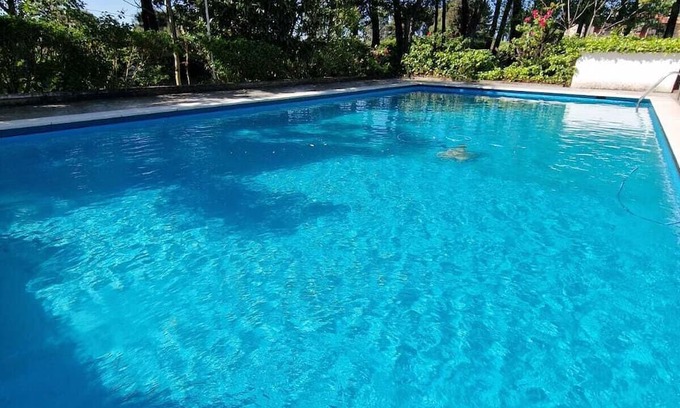 Calvarrasa de Abajo Cottage | Rural house 5min from Salamanca, 5000m² with swimming pool and barbecue