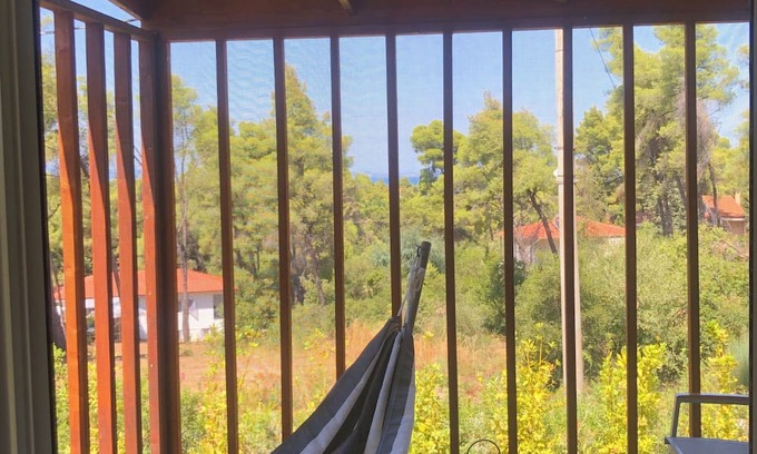 Vourvourou House | The Pine Cabin, a dainty little house surrounded by pine trees and cute squirrels!