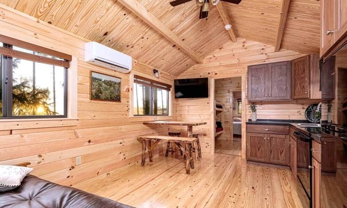 Hector Cabin | Cozy Cabin on Seneca Wine Trail Vineyard View 6