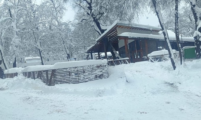 Pinto Cabin | PIREMAPU CABINS