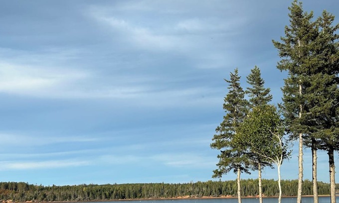 Cardigan House | Cottage on the Cardigan River