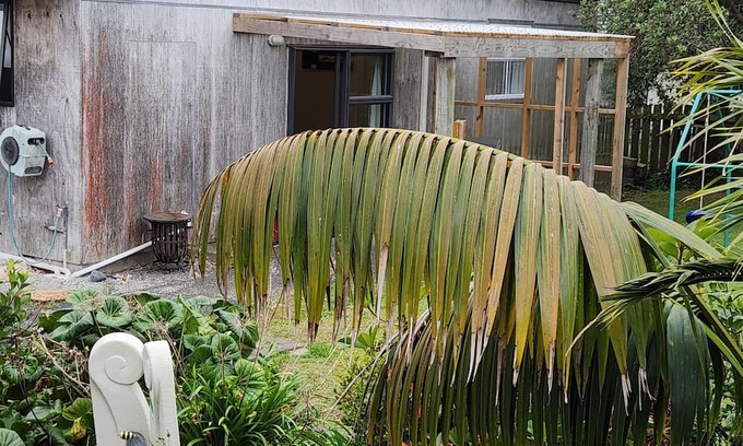Onerahi Cabin | We are 10 minutes from the CBD. 3 minutes walk from the airport.