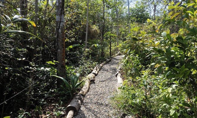 Palenque House | 4-bedroom beachfront paradise in Palenque with AC, pool, walking trail and more!