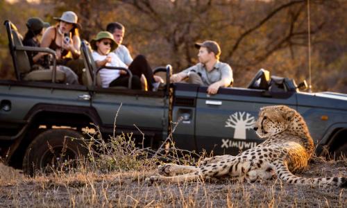 Thorny Bush Game Reserve Hotel | Ximuwu Safari Lodge