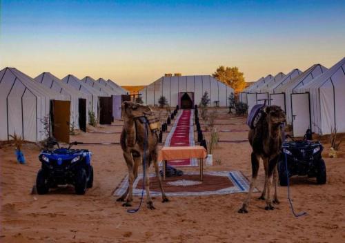 Merzouga Other | Unique Desert Camp