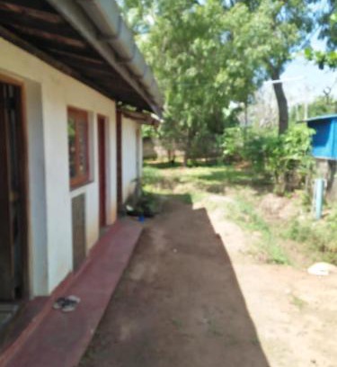 Anuradhapura House | Family guest house anuradhapura